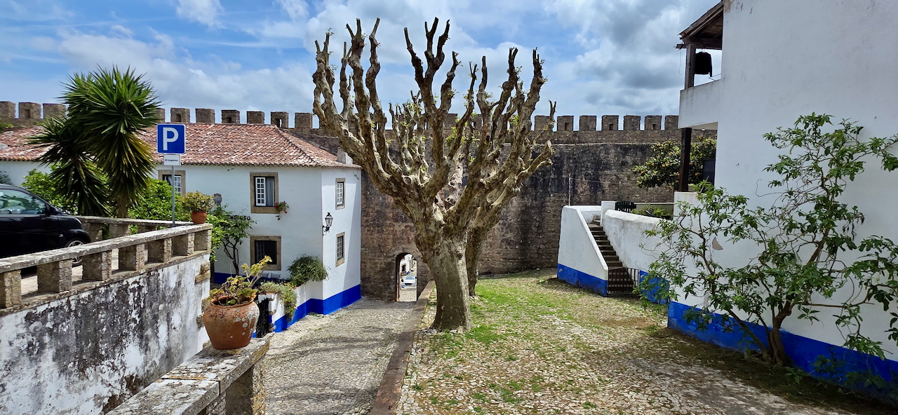 Baum auf der Burg